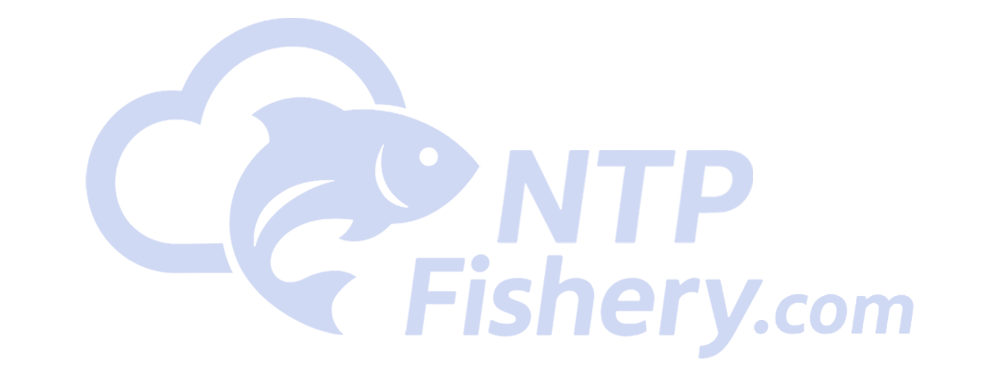NTP